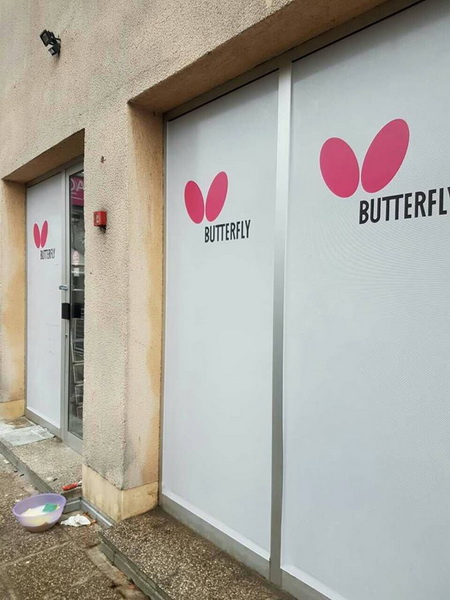 Butterfly_Croatia