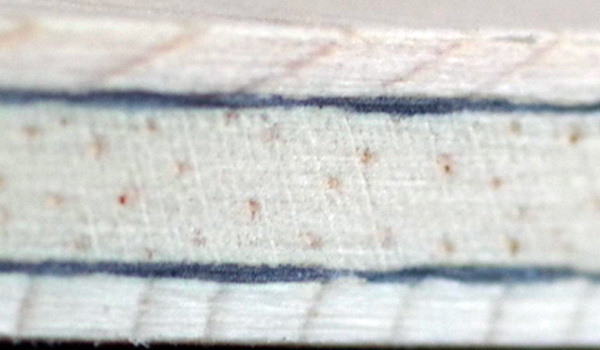 Galaxy_Z5_VF_Inside