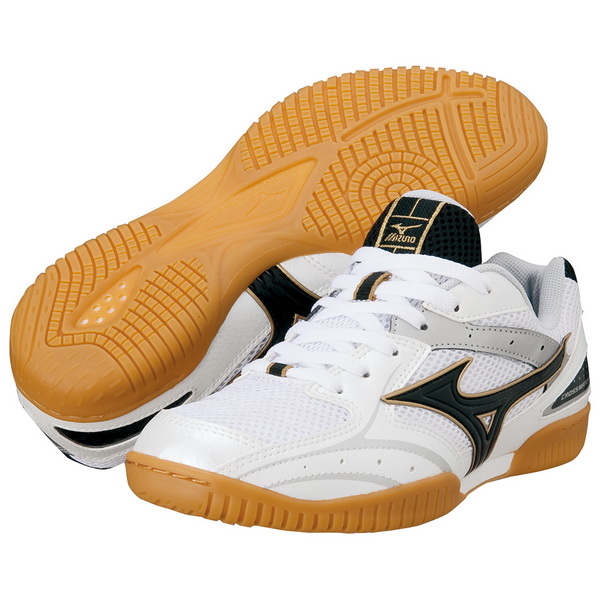 Mizuno_Crossmatch_Plio